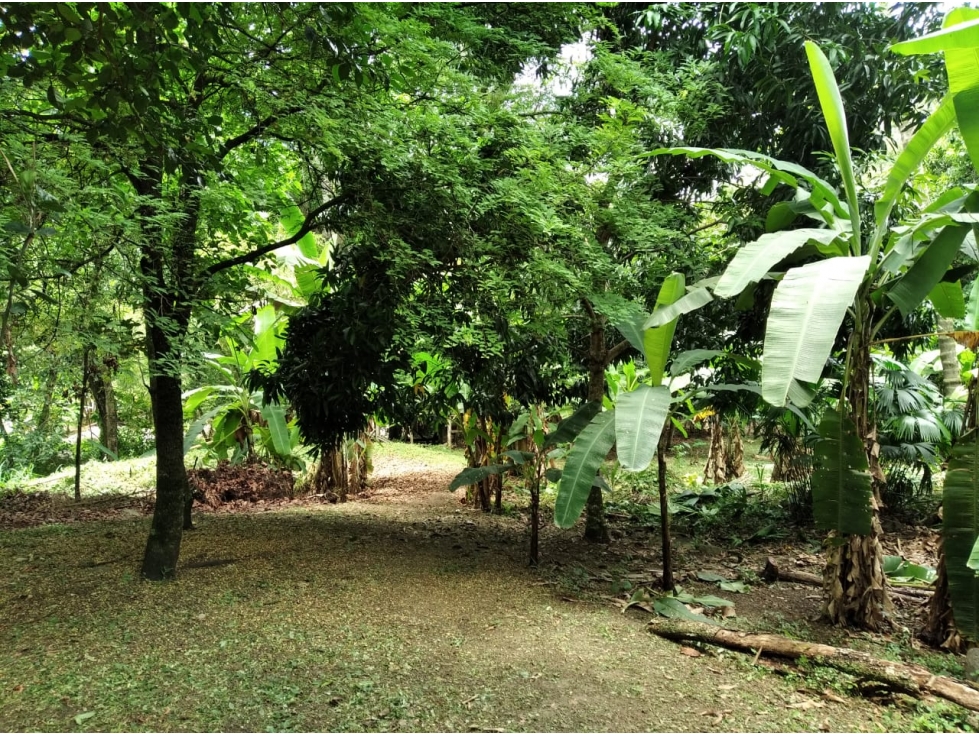 LOTE EN VENTA EN VIA SOPETRAN - OLAYA — foto 2