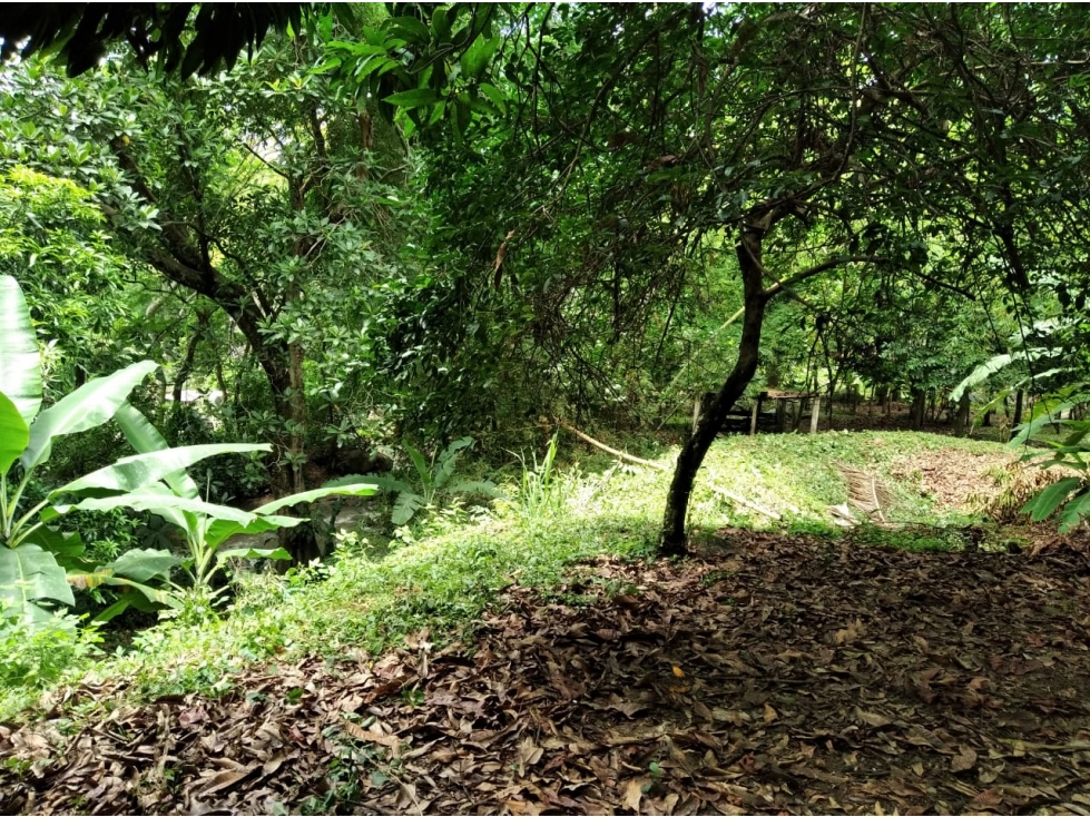 LOTE EN VENTA EN VIA SOPETRAN - OLAYA — foto 3