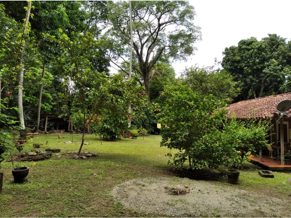 LOTE EN VENTA EN VIA SOPETRAN - OLAYA — foto 4