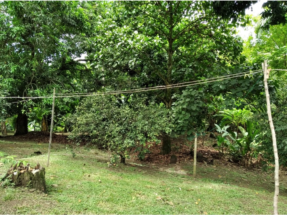 LOTE EN VENTA EN VIA SOPETRAN - OLAYA — foto 5