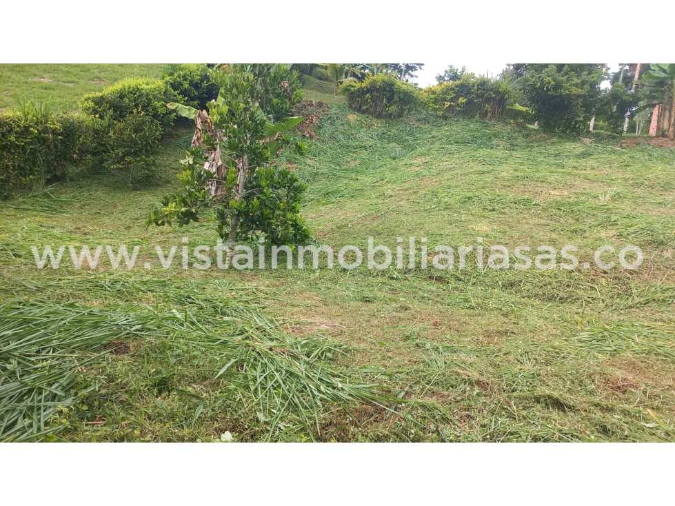 Venta Lote Sector Km48 vía Medellin, Manizales — foto 3