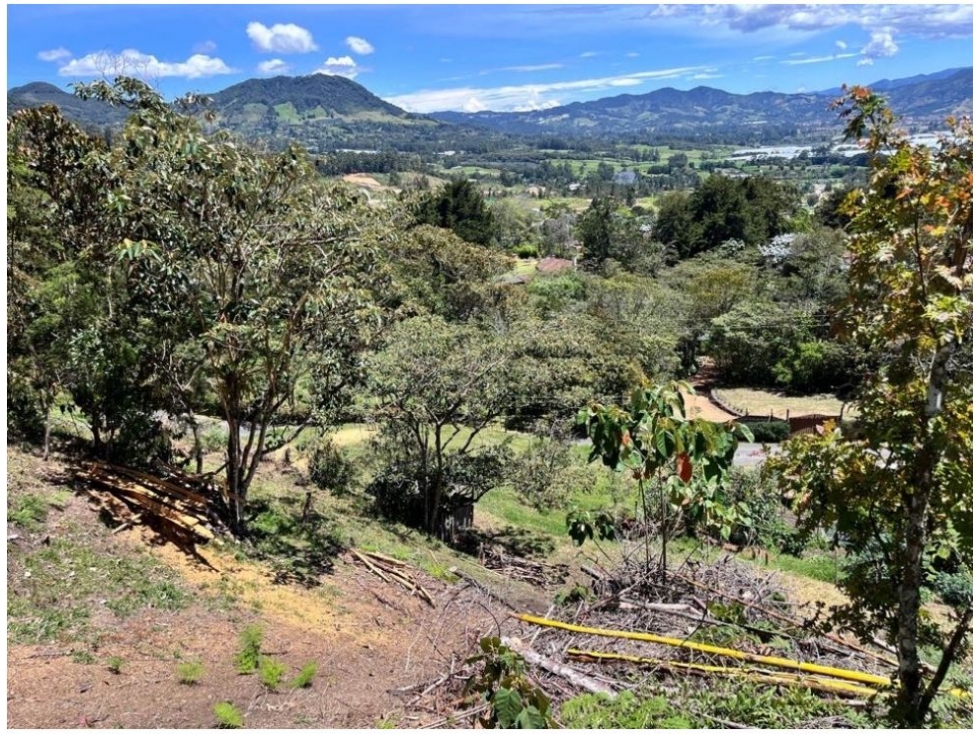 LOTE PARA LA VENTA EN UNA DE LAS MEJORES PARCELACIONES DE LA CEJA — foto 3