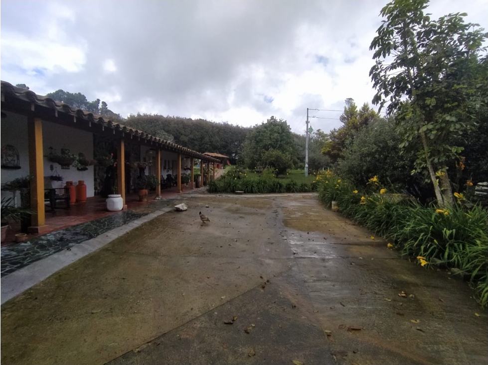 CASA FINCA CAMPESTRE - SAN PEDRO DE LOS MILAGROS — foto 5