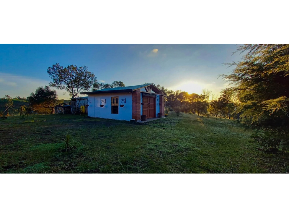 Finca en venta en San Vicente Ferrer Negociable