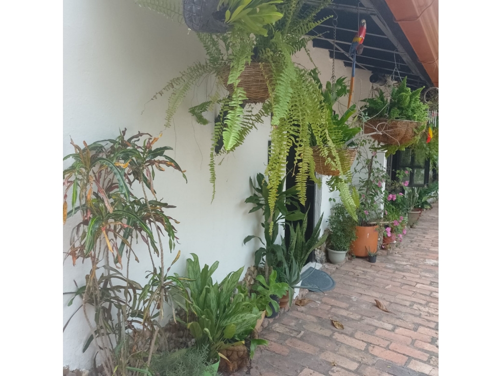 Casa en Vender en Girardot — foto 4