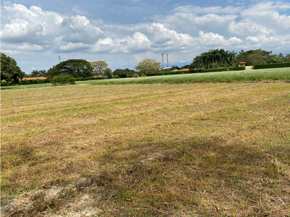 VENDO LOTE GANADERO DE 46500M2 EN ROZO-SECTOR RECREO(FG)CW:7341789