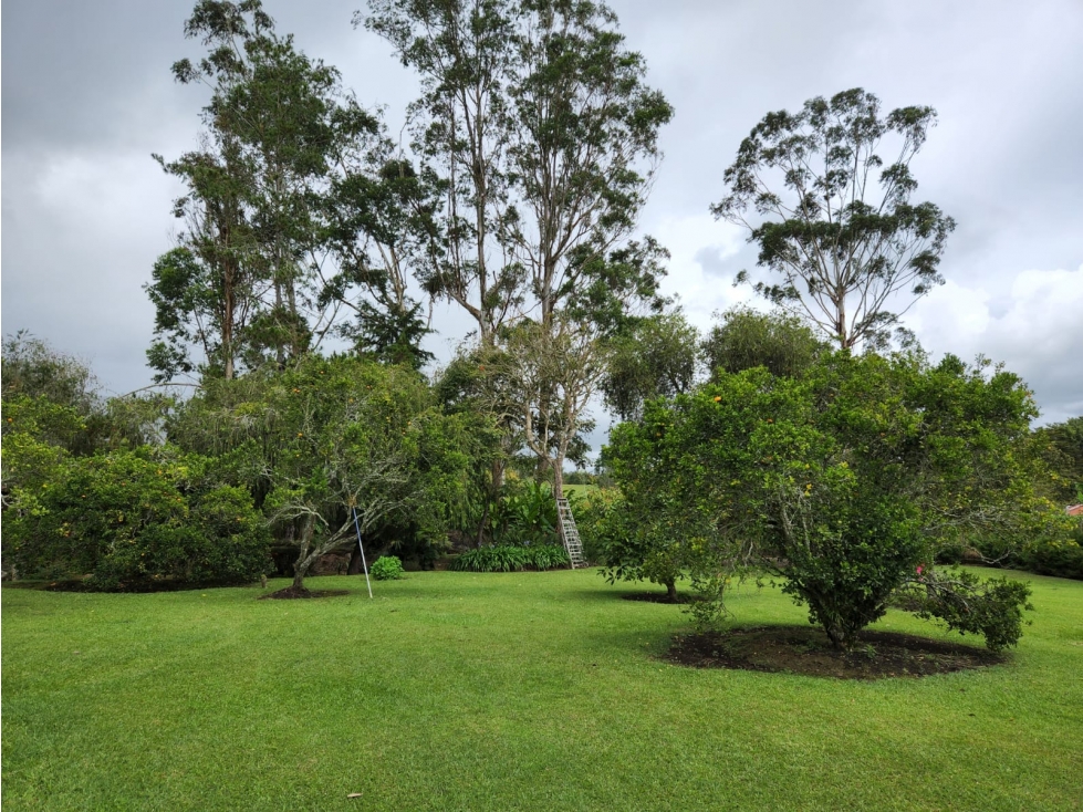 VENDO ESPECTACULAR CASA CAMPESTRE EN CALIMA-DARIEN(YL) CW:6034203 — foto 2