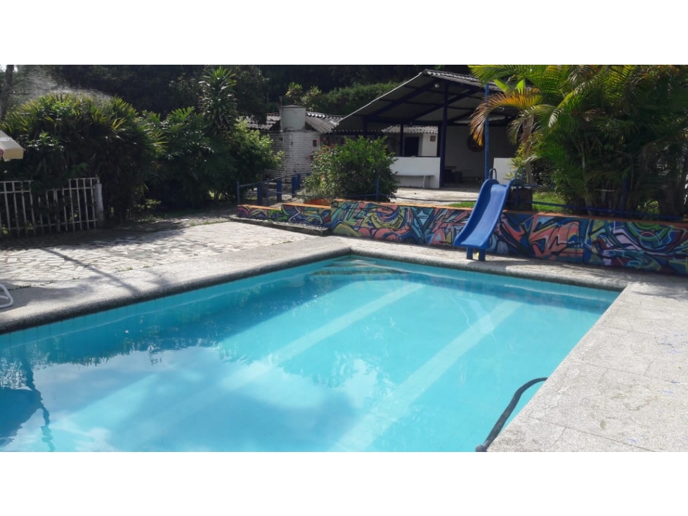 VENDO HERMOSA FINCA EN LA VEREDA DEL MANGO-PIENDAMO(JS)CW:6484340 - 5
