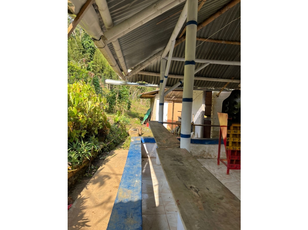 VENDO FINCA PRECIO DE OPORUNIDAD KM32 VÍA BUENVTURA(M&G)CW:6714357 - 3