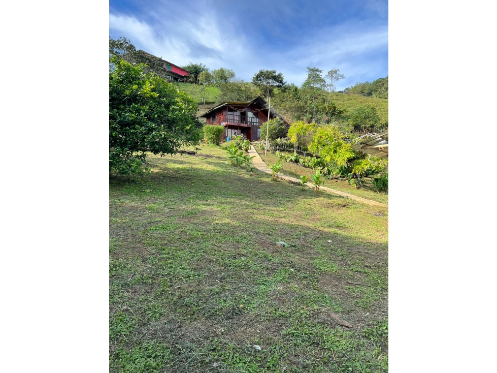 VENDO FINCA PRECIO DE OPORUNIDAD KM32 VÍA BUENVTURA(M&G)CW:6714357 - 4