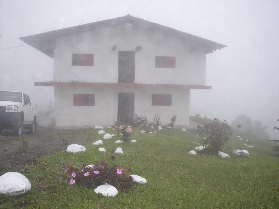 SE VENDE FINCA PRODUCTORA QUEREMAL (A.G) CW:6889675 — foto 2