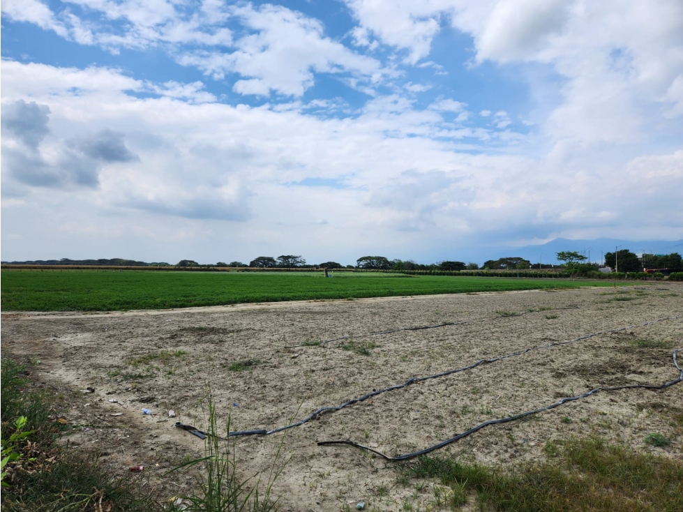 VENDO LOTE DE 85500M2 EN ROZO PARA PARCELAR FG CW:7341829 — foto 2