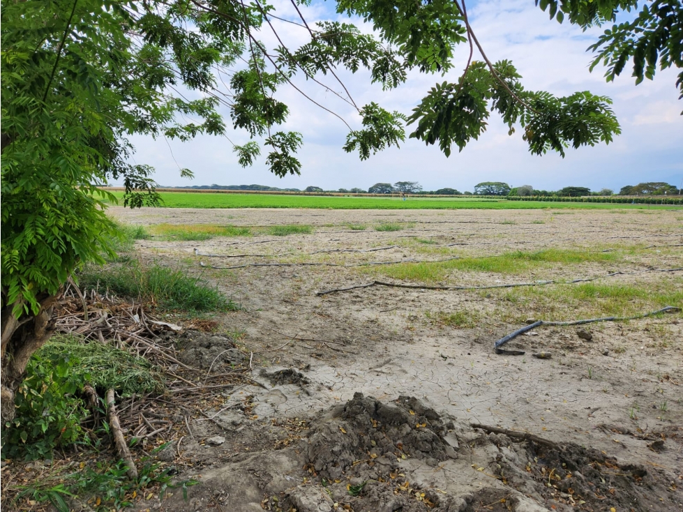 VENDO LOTE DE 85500M2 EN ROZO PARA PARCELAR FG CW:7341829 — foto 4