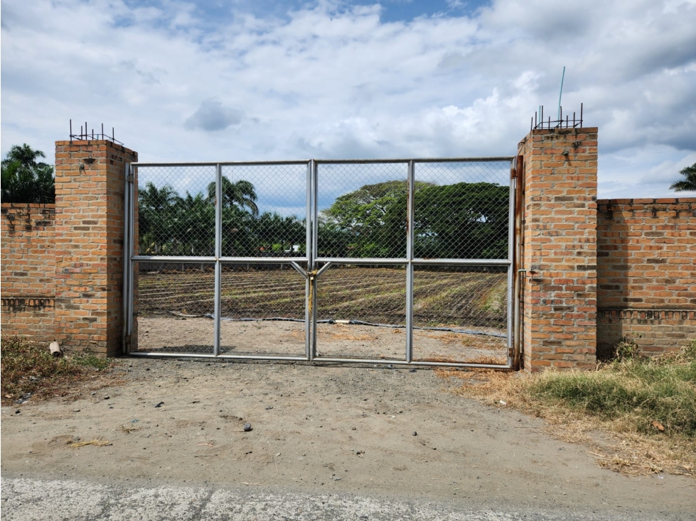 VENDO LOTE DE 10000M2 A BORDE DE CARRETERA EN ROZO(FG)CW:7341861 — foto 5