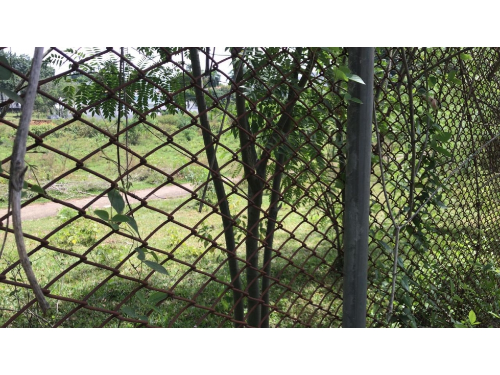 VENDO LOTE PLANO EN PANCE (D.M) CW:8175218 — foto 3