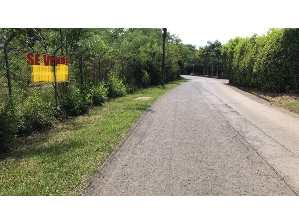 VENDO LOTE PLANO EN PANCE (D.M) CW:8175218 — foto 4