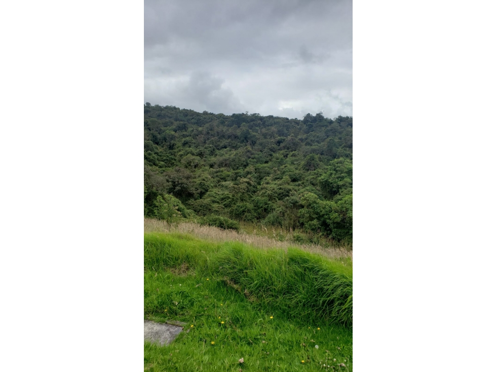 Lote en Vender en Sopo — foto 2