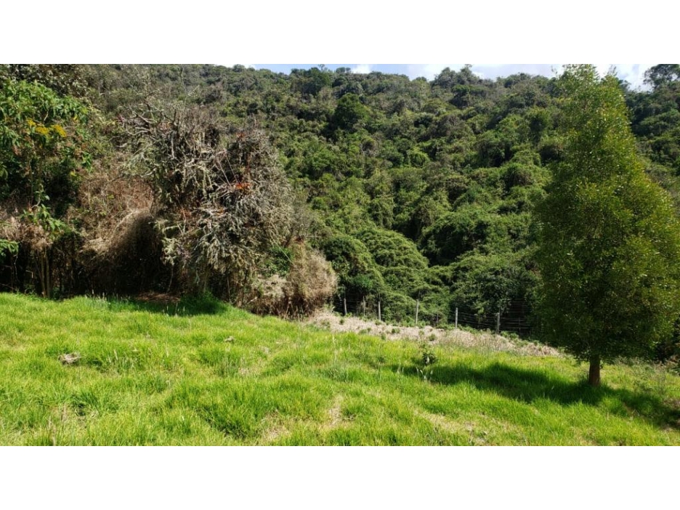 Lote en Vender en Sopo — foto 5