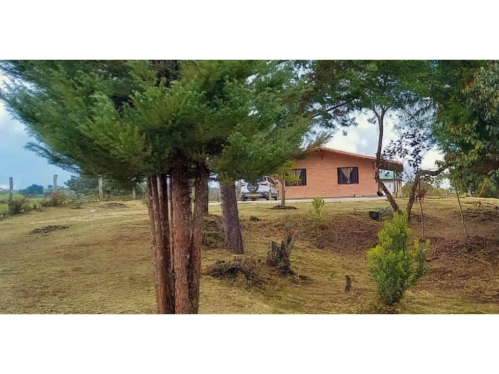 Finca en venta en San Vicente Ferrer Negociable — foto 6
