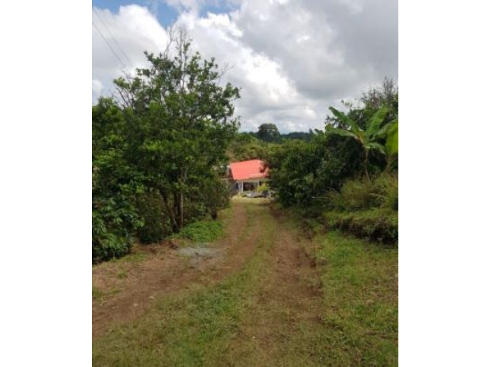 Finca en Vender en Ibagué
