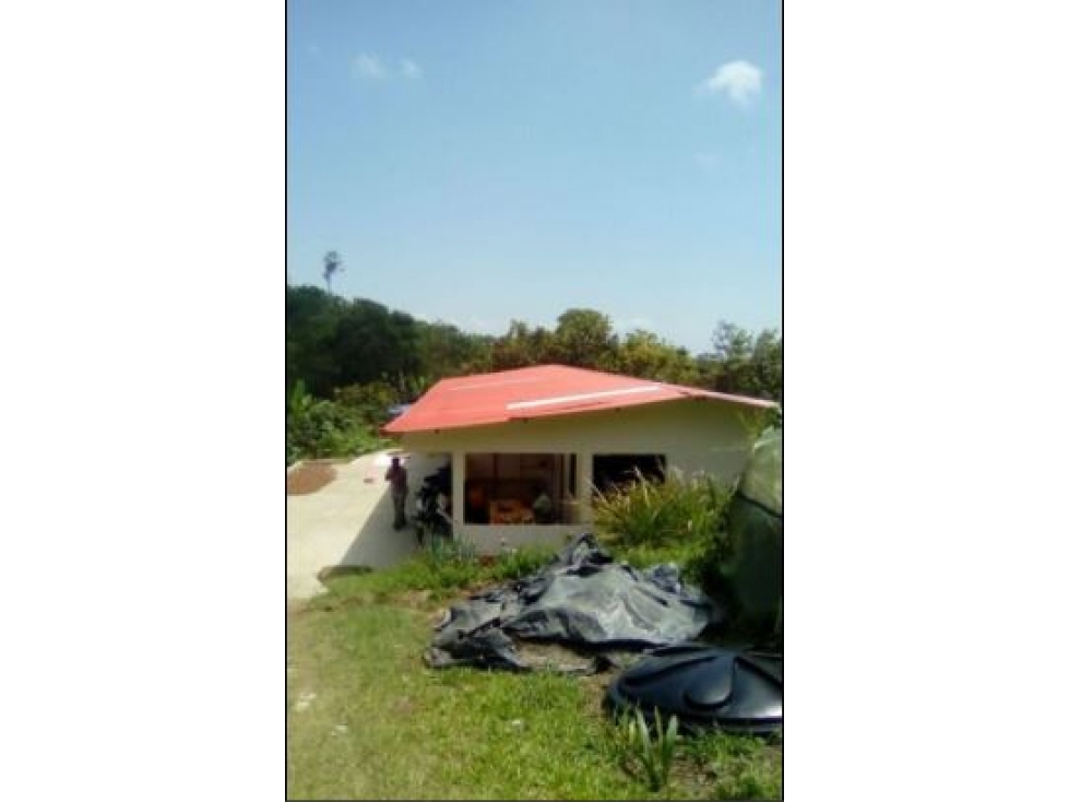 Finca en Vender en Ibagué — foto 2