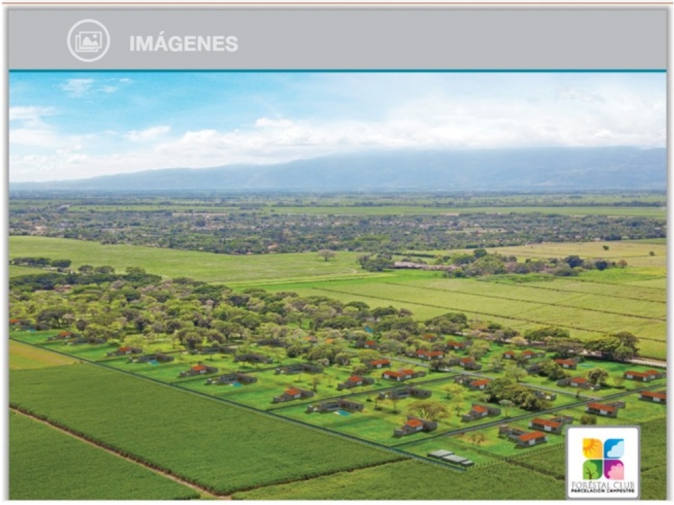 Lote en Vender en Cali — foto 3
