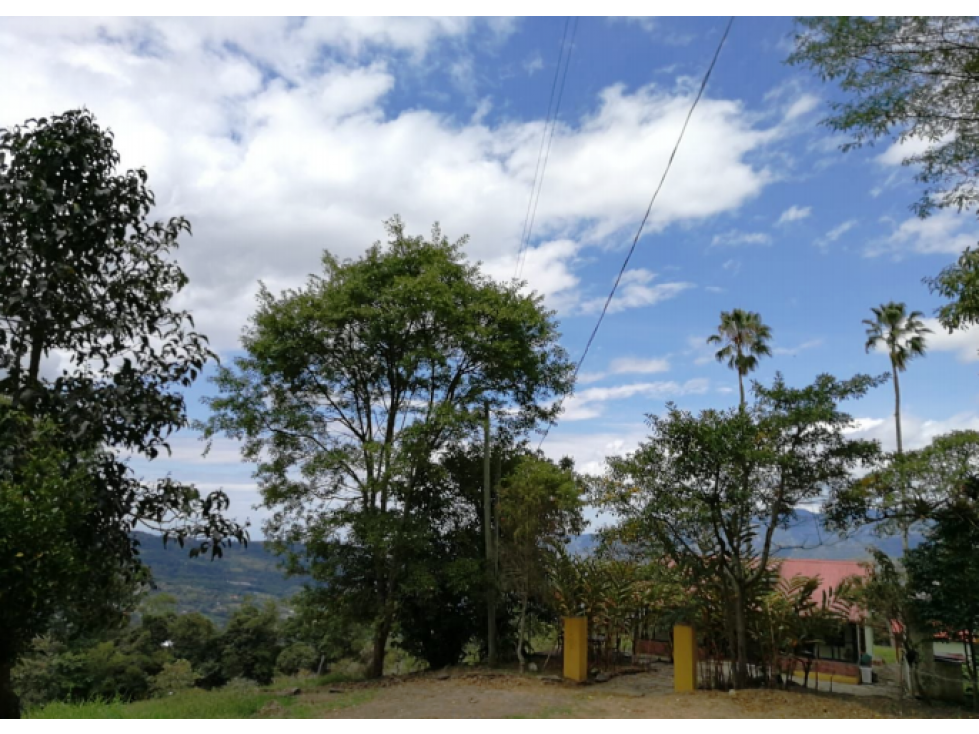 Lote en Vender en Anolaima - 3