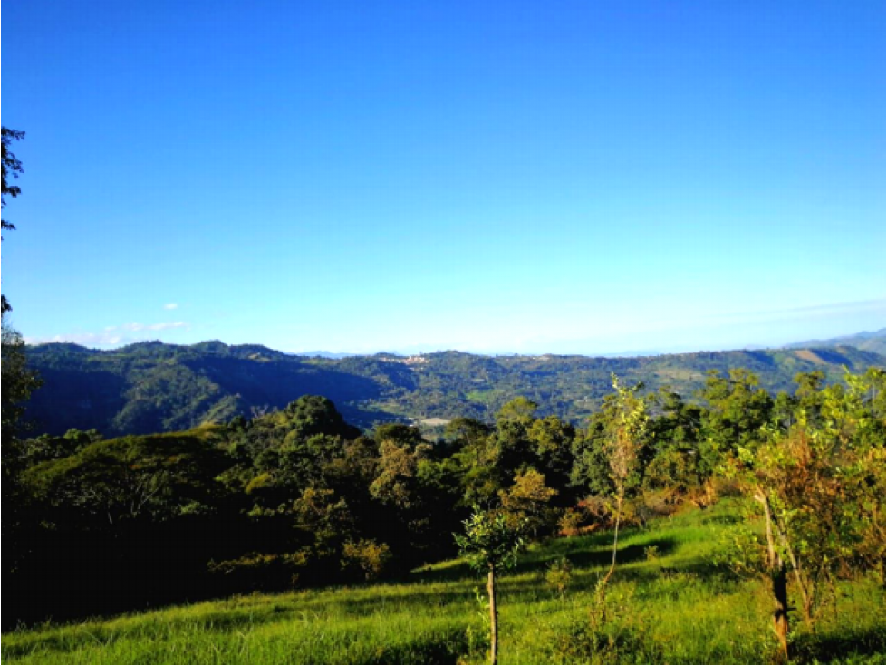 Lote en Vender en Anolaima - 4
