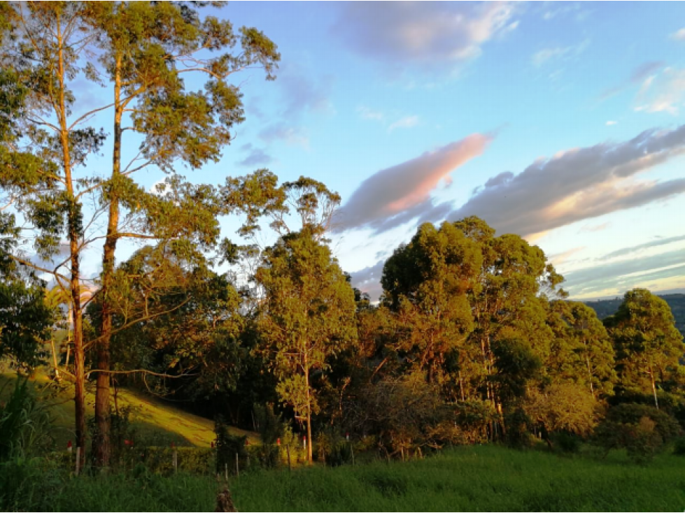 Lote en Vender en Anolaima - 6