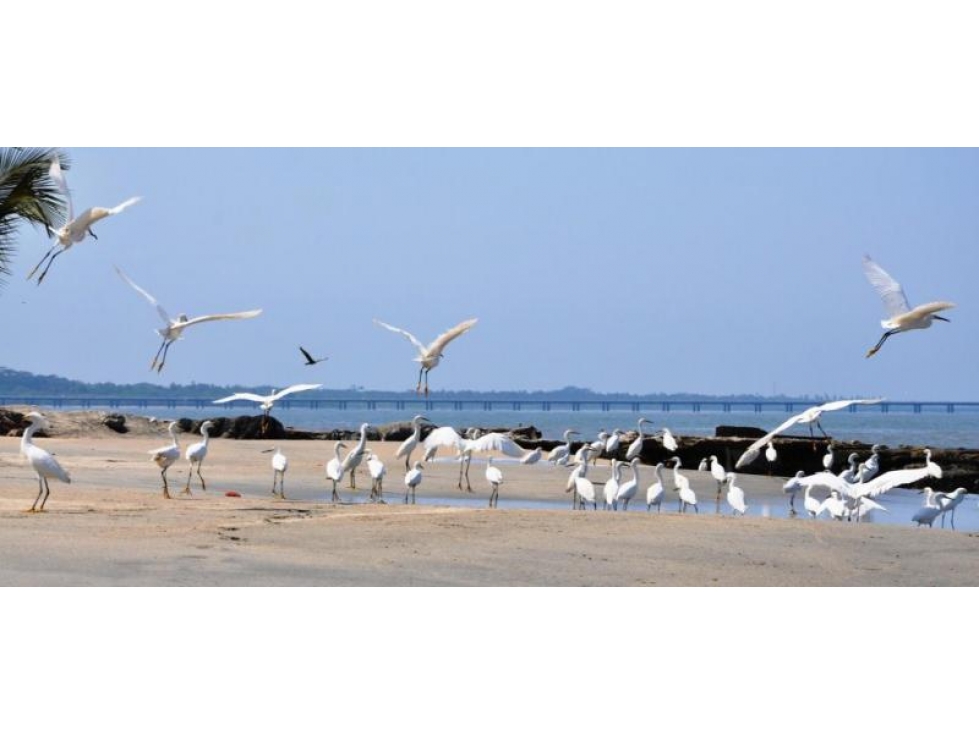 Apartamento en Arrendar en Santa Marta