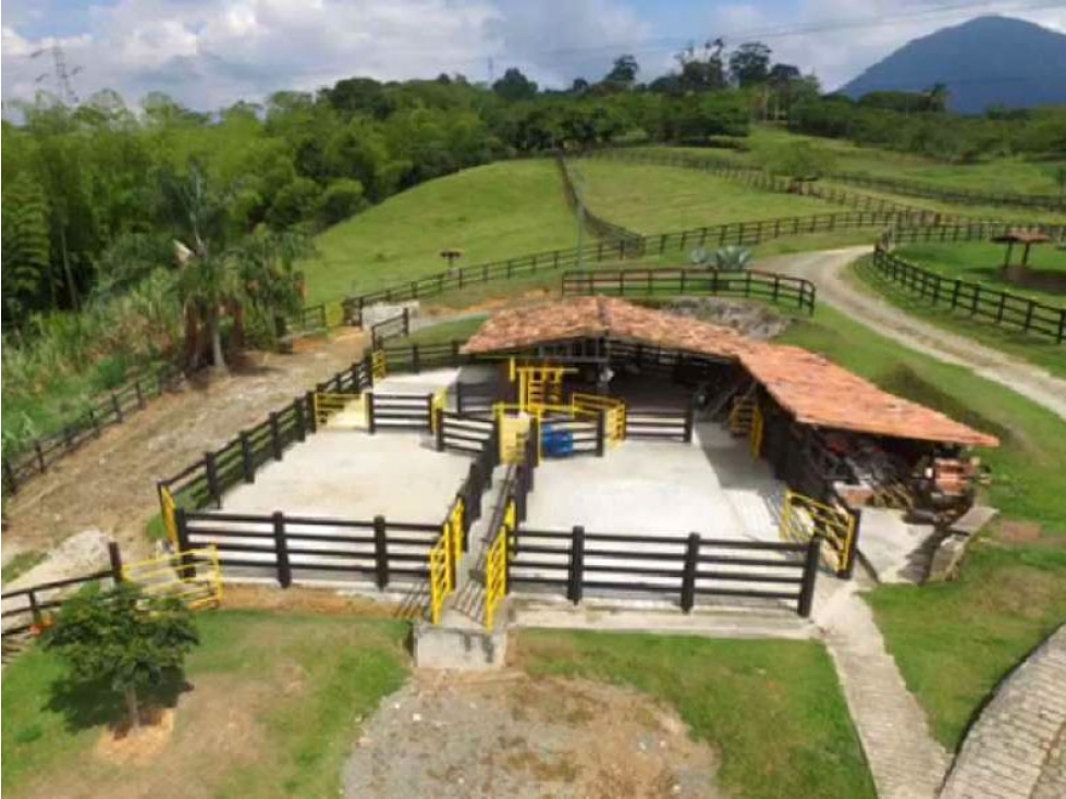 VENDO FINCA MIXTA, GRANDE Y LUJOSA EN VENECIA — foto 4