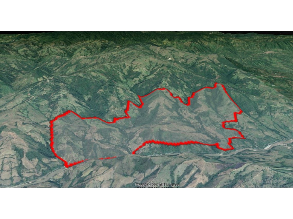 VENDO GIGANTE HACIENDA DE 1.308 CUADRAS CERCA A LA PINTADA SOBRE VÍA - 1