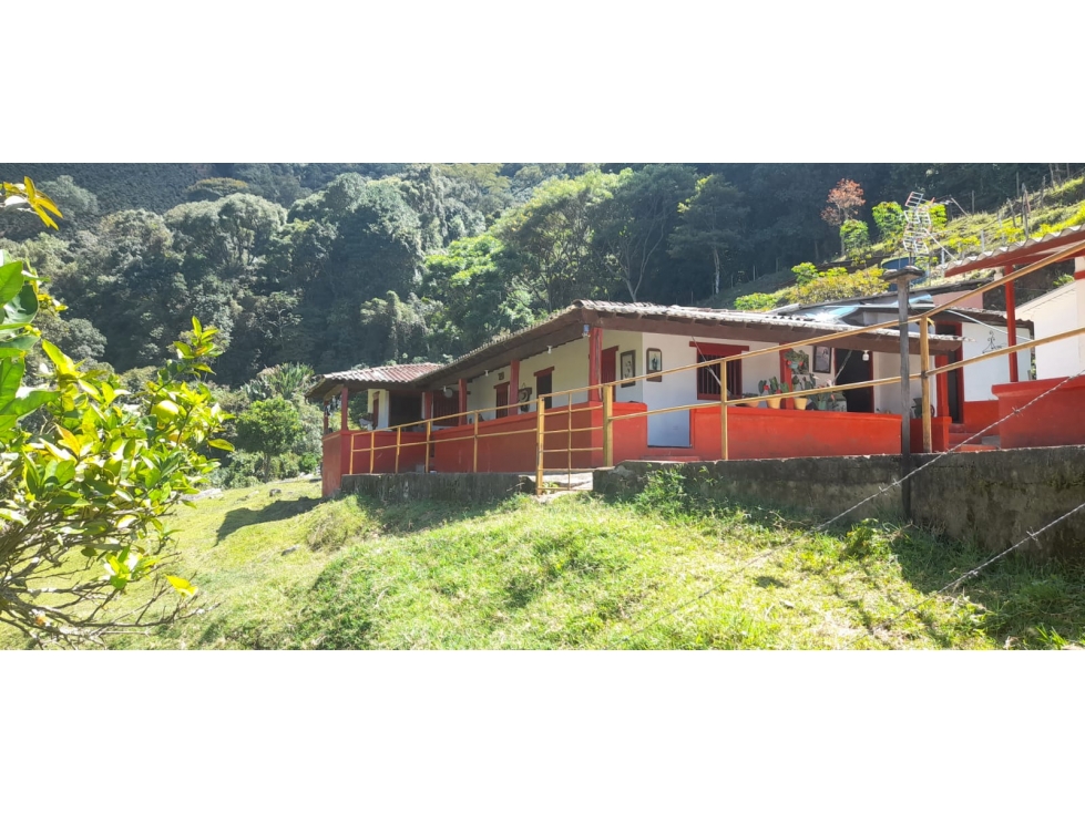 VENDO FINCA DE 50 CUADRAS PARA GANADERÍA Y CON CAFÉ EN CONCORDIA - 1