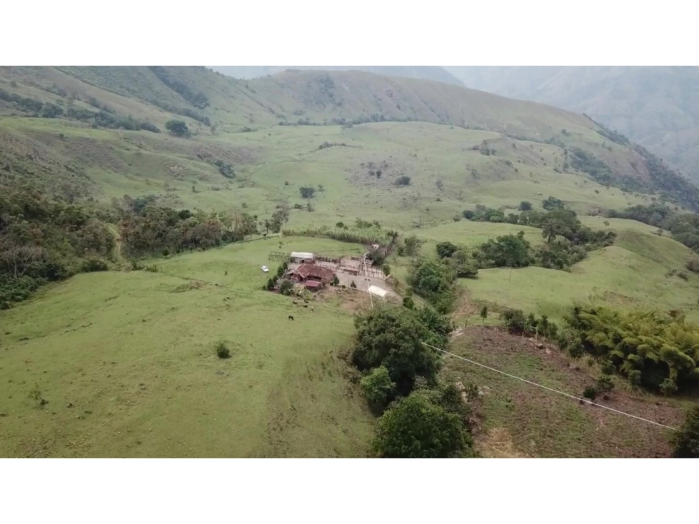 VENDO FINCA DE 400 HECTÁREAS PARA CULTIVOS Y GANADERÍA EN BETULIA - 1