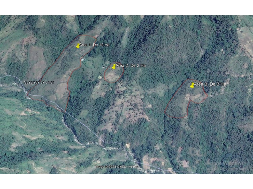 VENDO FINCA DE 18 A 20 HECTÁREAS PARA GANADO EN EL SALADO EN CARAMANTA - 2