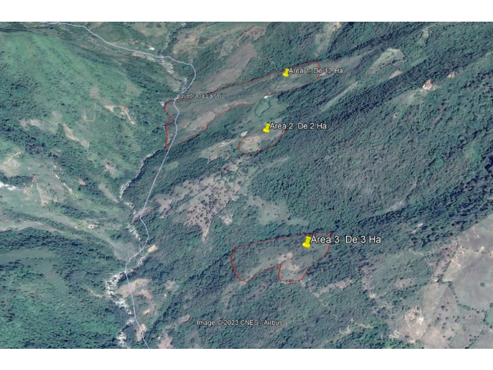 VENDO FINCA DE 18 A 20 HECTÁREAS PARA GANADO EN EL SALADO EN CARAMANTA - 3