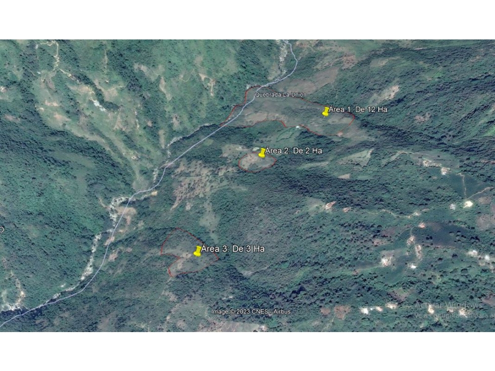 VENDO FINCA DE 18 A 20 HECTÁREAS PARA GANADO EN EL SALADO EN CARAMANTA - 6