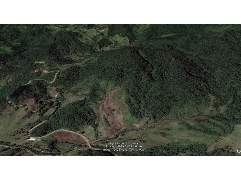 VENDO FINCA / LOTE DE 15 HECTÁREAS DE BOSQUE EN EL CARMEN DE VIBORAL