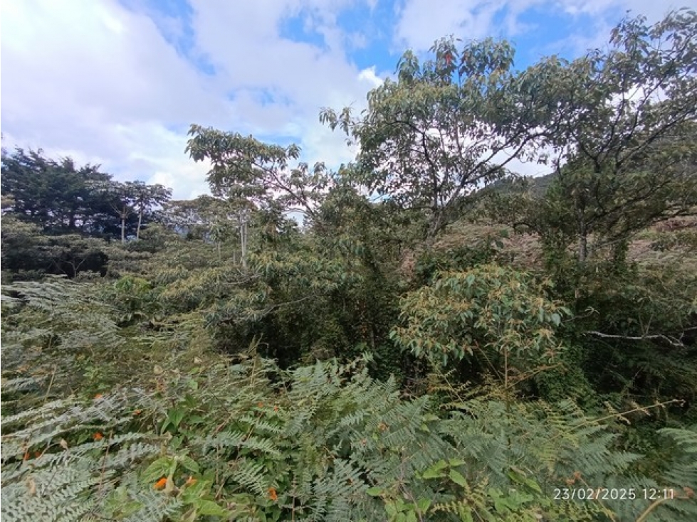 VENDO LOTE DE 10.000 m² EN PARCELACIÓN EL YARUMO EN LA CEJA ANTIOQUIA