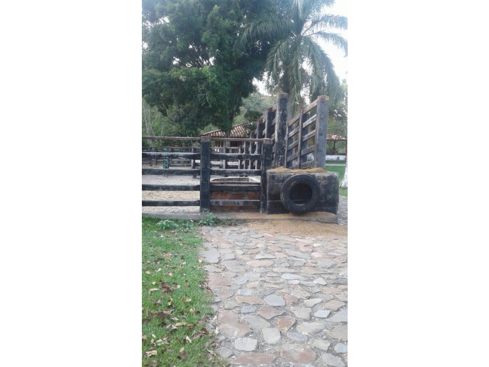 VENDO GIGANTE HACIENDA DE 1.308 CUADRAS CERCA A LA PINTADA SOBRE VÍA - 6