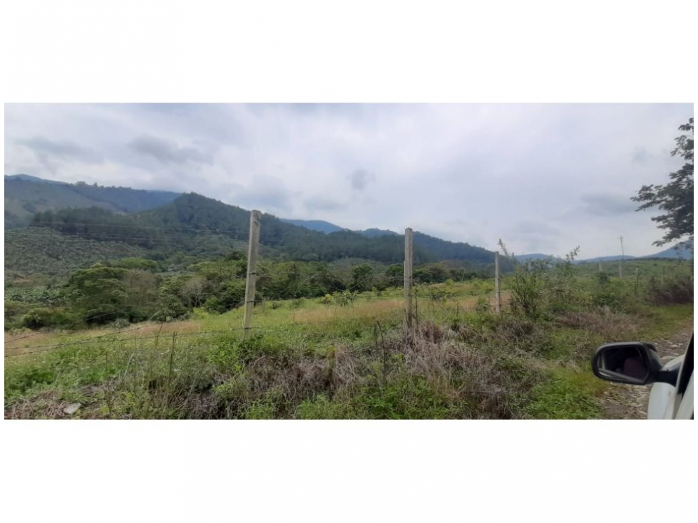 VENDO FINCA EN SALGAR ANTIOQUIA DE 2.000 HA CON BOSQUE PARA CULTIVOS - 6