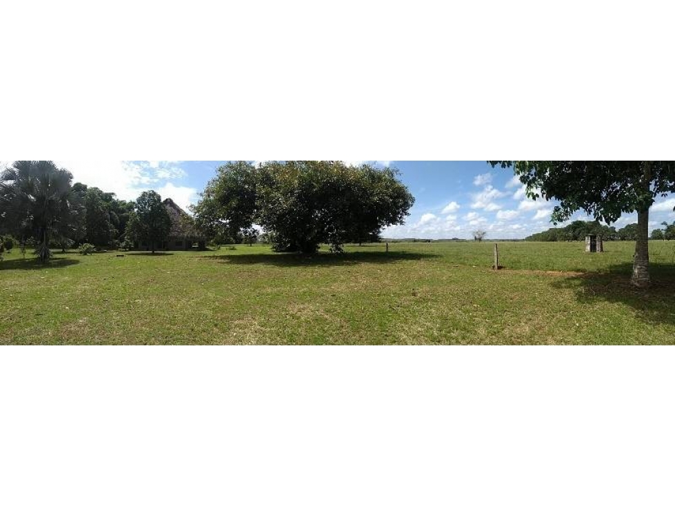 VENDO HACIENDA EN PUERTO GAITÁN EN EL META DE 990 HECTÁREAS - 2