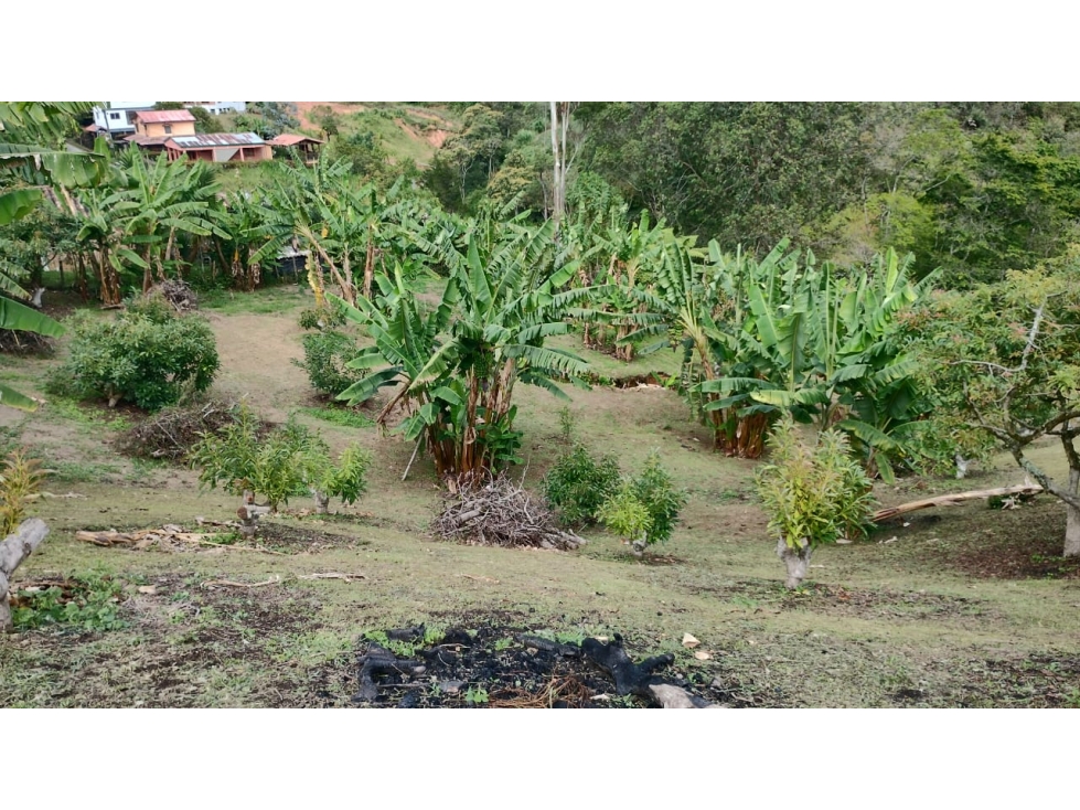 VENDO FINCA DE 23.000 m², CONTRUIDO 190 m² EN MARINILLA VEREDA EL POZO — foto 4
