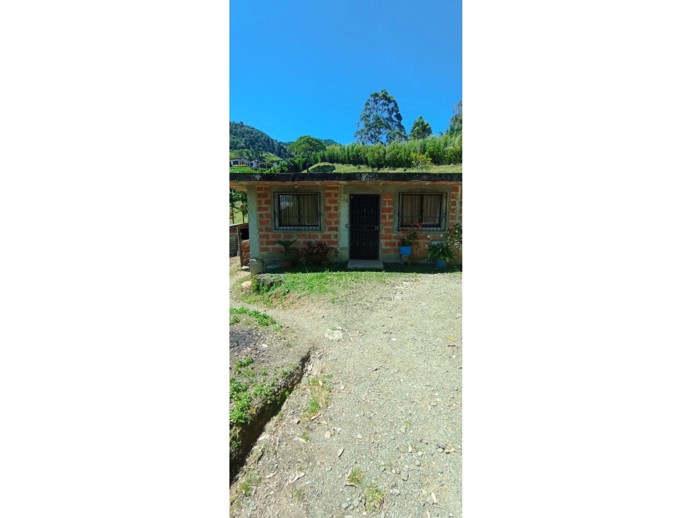 VENDO FINCA DE 7.000 m² EN LA VEREDA CORRALITA EN CALDAS ANTIOQUIA — foto 2
