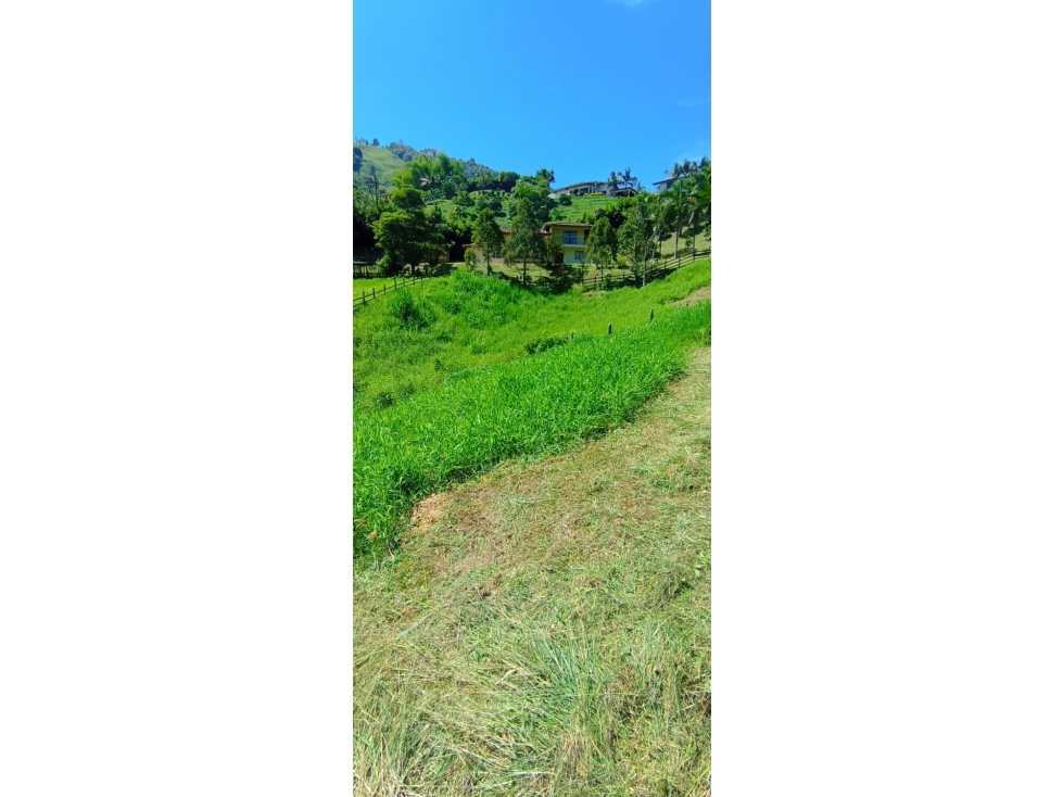 VENDO FINCA DE 7.000 m² EN LA VEREDA CORRALITA EN CALDAS ANTIOQUIA — foto 3