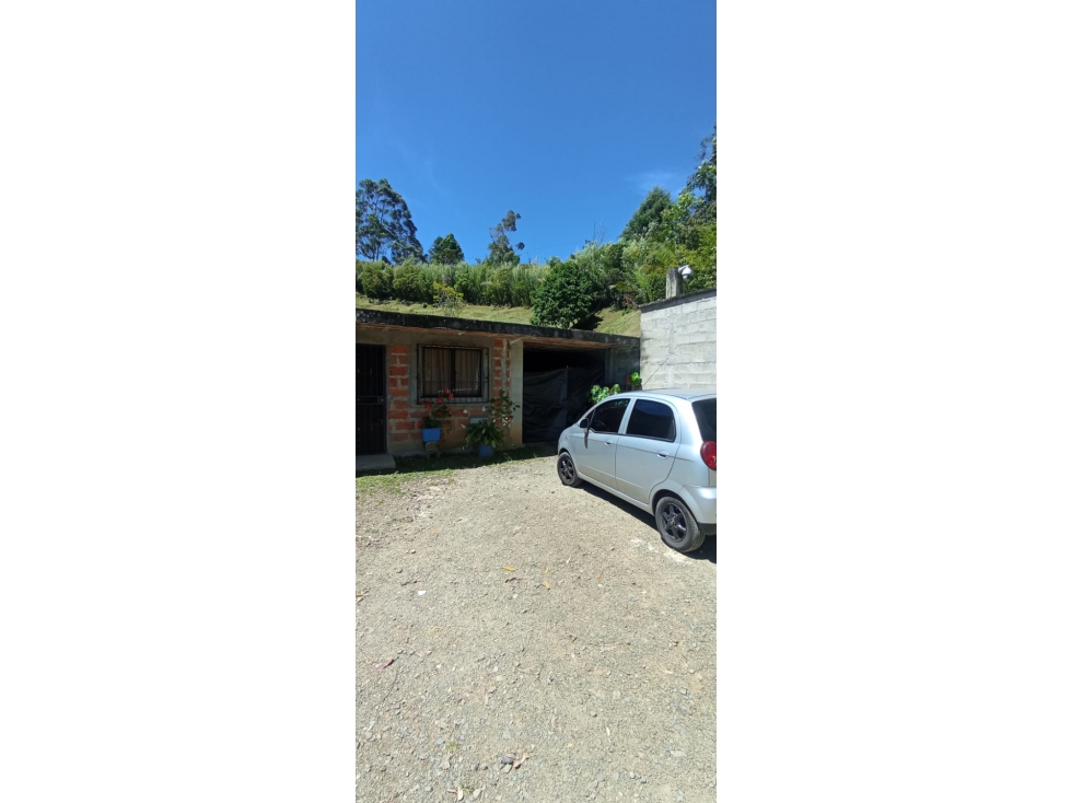 VENDO FINCA DE 7.000 m² EN LA VEREDA CORRALITA EN CALDAS ANTIOQUIA — foto 5