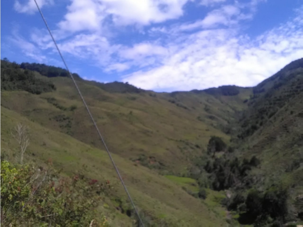 VENDO FINCA DE 540 CUADRAS EN URRAO CERTIFICADA PARA AGUACATE HASS - 3