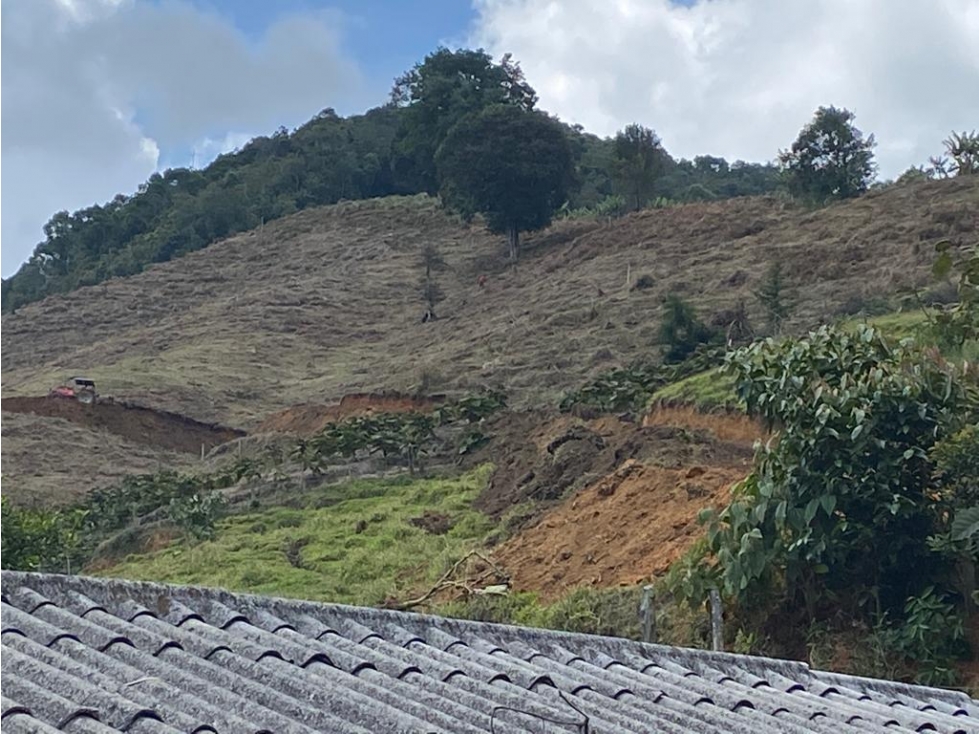 VENDO FINCA DE AGUACATE DE 44 HECTÁREAS EN URRAO VEREDA SAN CARLOS - 2
