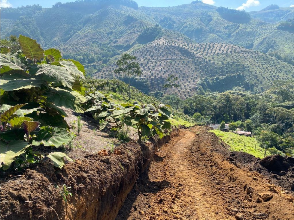 VENDO FINCA DE AGUACATE DE 44 HECTÁREAS EN URRAO VEREDA SAN CARLOS - 5