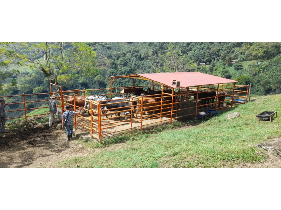 VENDO FINCA DE 50 CUADRAS PARA GANADERÍA Y CON CAFÉ EN CONCORDIA - 2